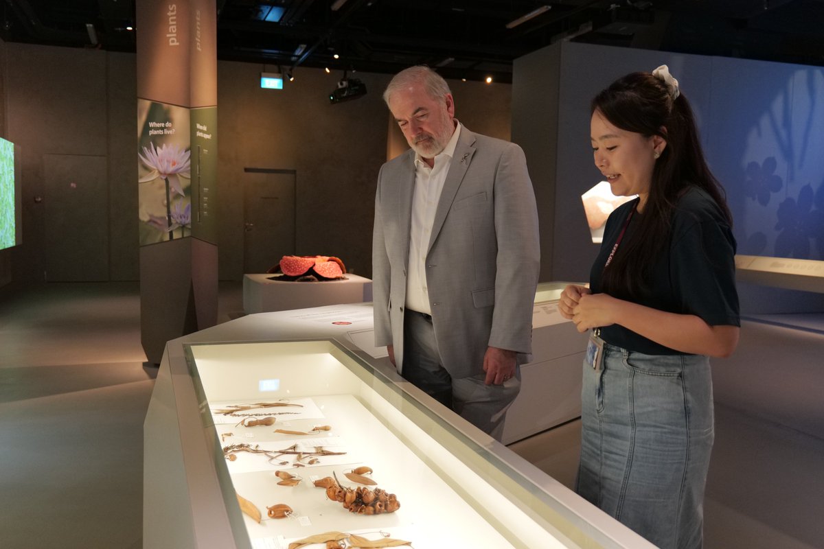 Lee Kong Chian Natural History Museum tweet media