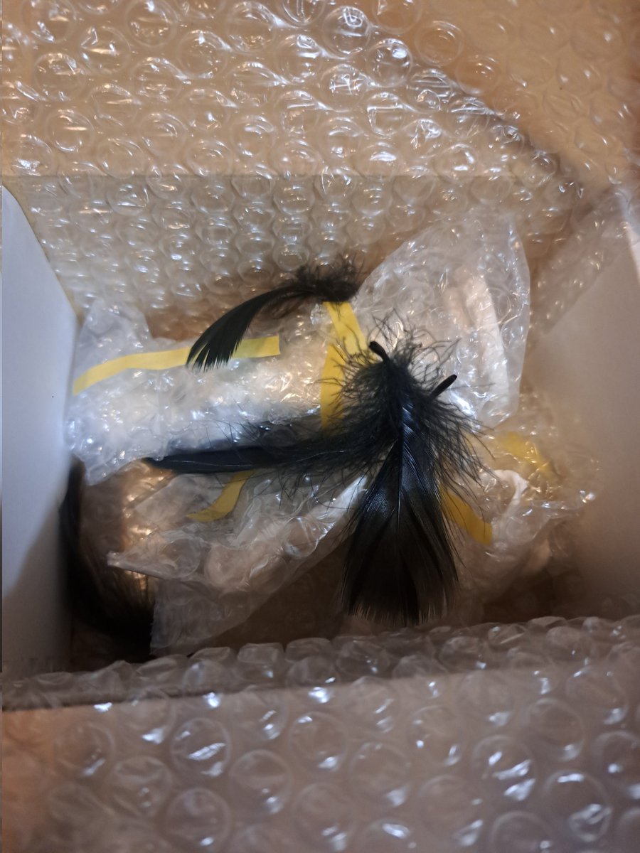 赤羽会（次回はWF2026夏【当選しました！】） tweet media