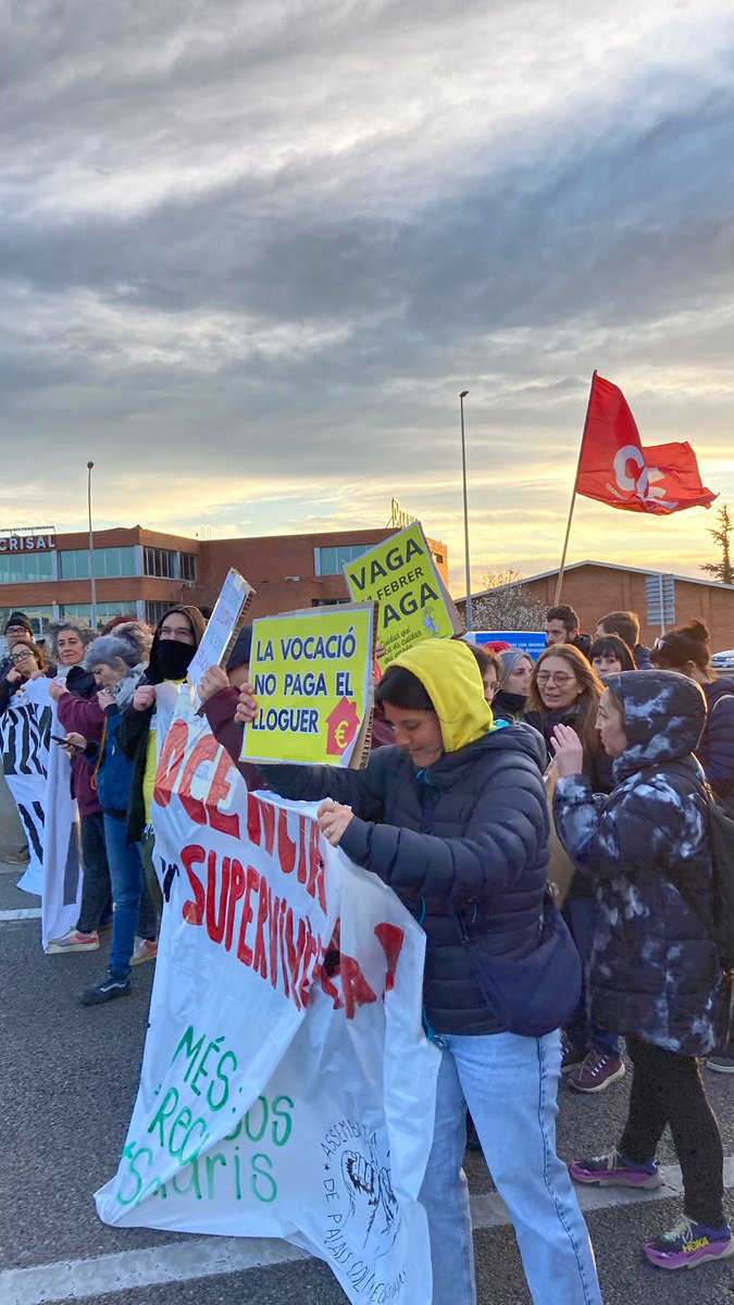 COS Educació tweet media