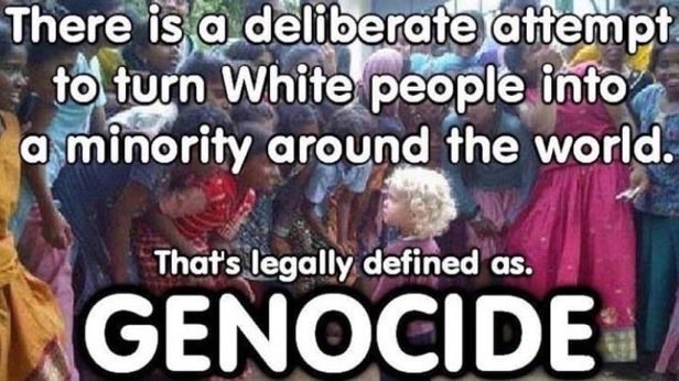 WHITE_AWAKEN's tweet photo. @aus_pill We White people, as minorities globally, can not allow and accept being made minorities in our own territories! 

We can not allow and accept White genocide!

When are the White worker strikes beginning!? https://t.co/Mdbgdjn8VD
