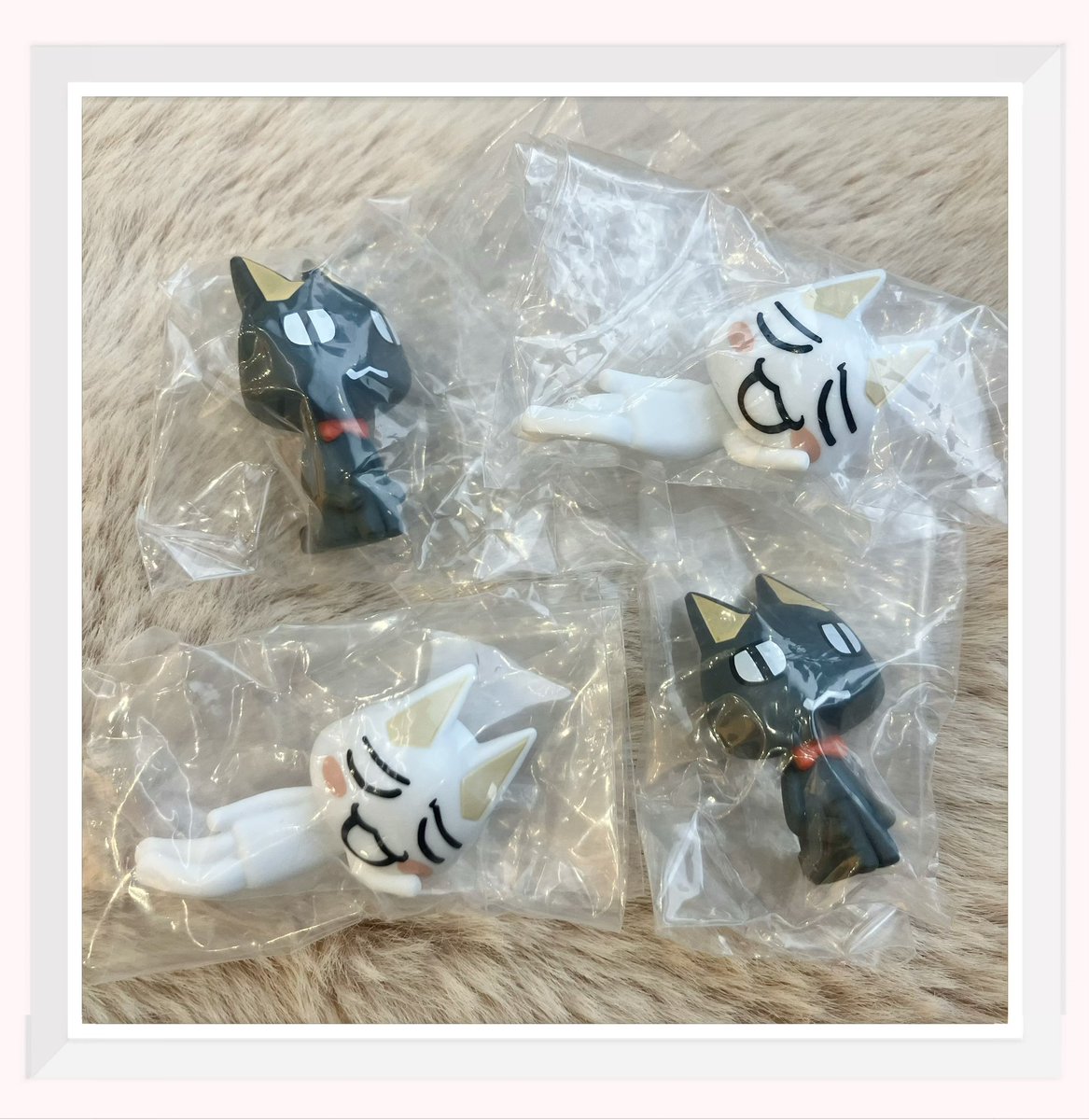 4回まわした結果……

トロクローーーッ！！！(しかも交互にでてきてくれた🤣笑)