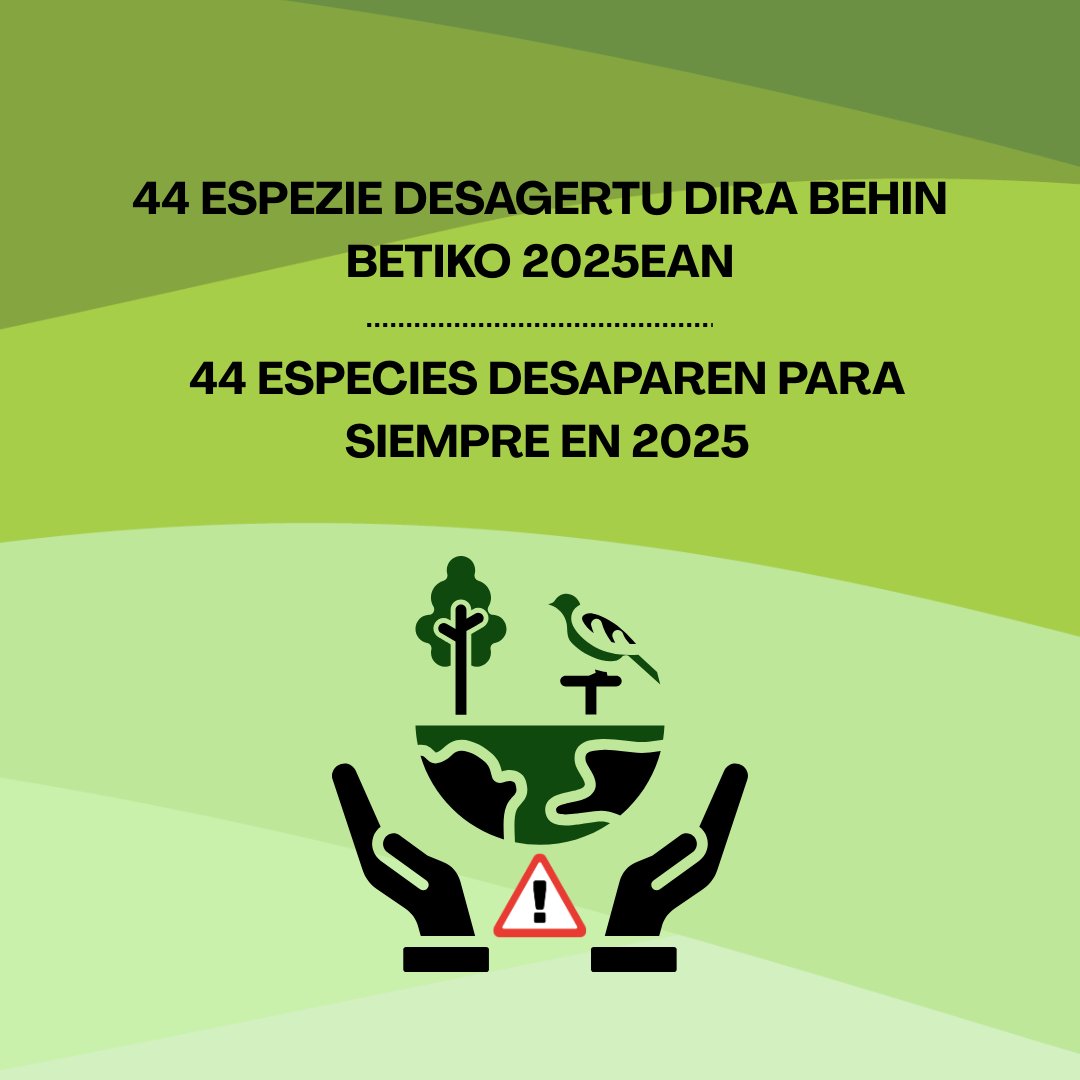Biobilbao's tweet photo. 44 ESPEZIE DESAGERTU DIRA BEHIN BETIKO 2025EAN, NKNBren ARABERA
https://t.co/kuXtwvh5Yk
……
44 ESPECIES DESAPARECEN PARA SIEMPRE EN 2025 SEGÚN LA UICN
https://t.co/Cnw3grSfXE https://t.co/oaTGD5NhDY