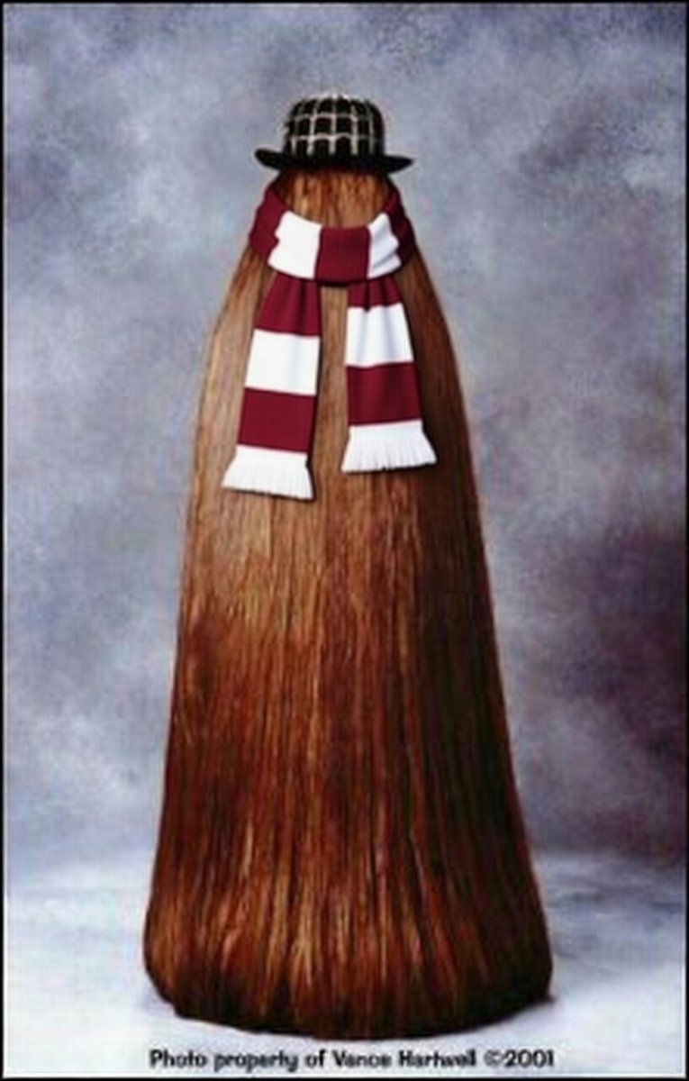 BDM 🇱🇻☨ tweet media