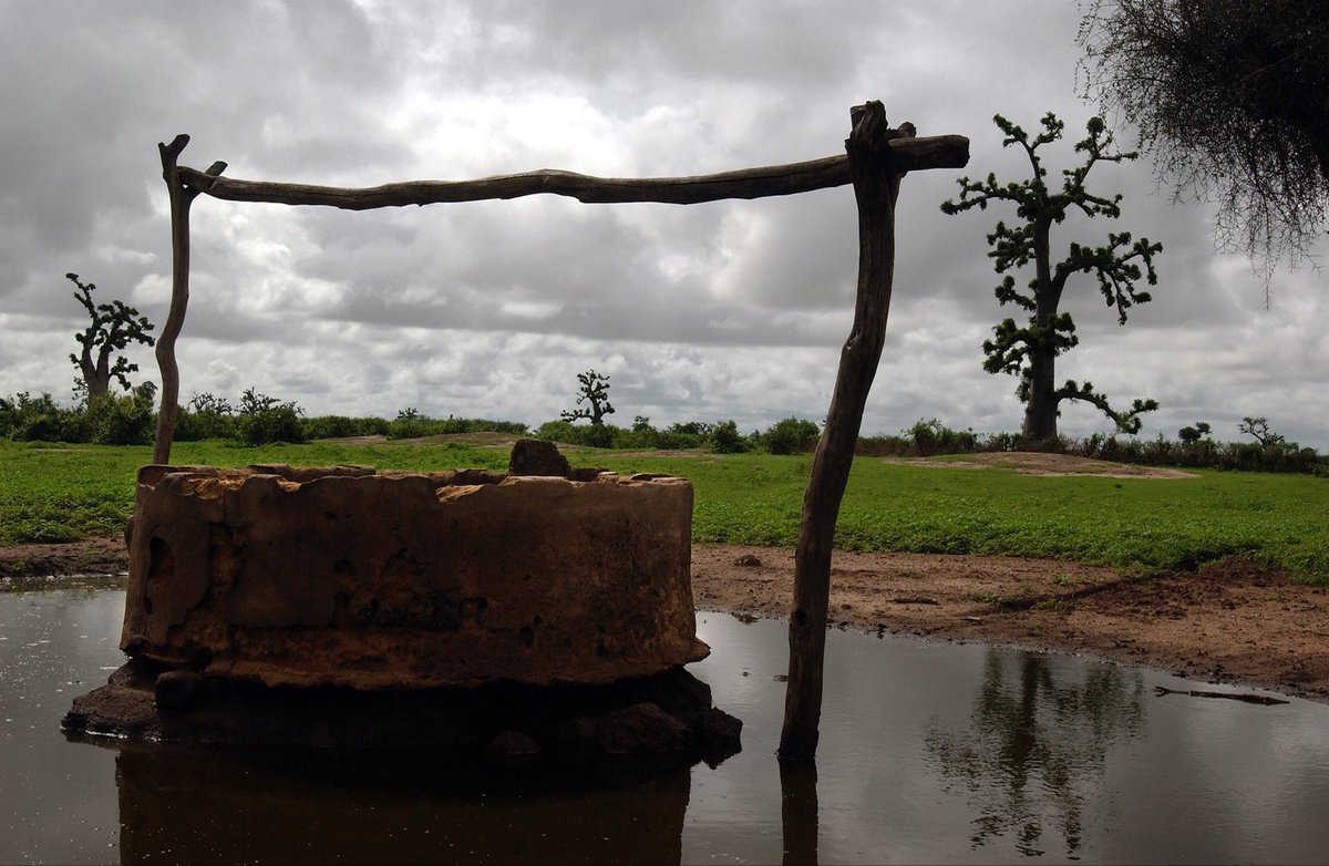 شربنا قراح الماء في زمان الهماج
وأخذنا من الصافي لو شح النقى

دام السجين احتاج لحظة إفراج
يبقى الشعور اصدق لو غيره مابقى

 #همسه_صباحيه