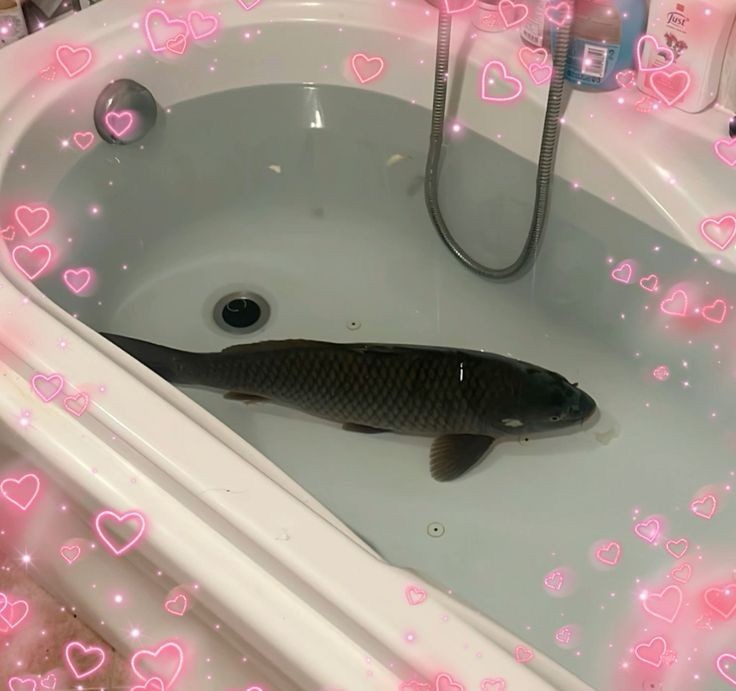 Venn 🍵 || COMMS OPEN tweet media