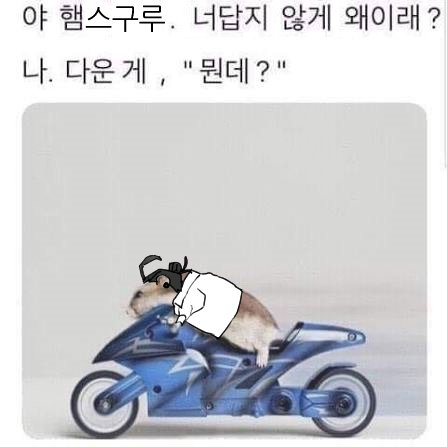 만복이 tweet media