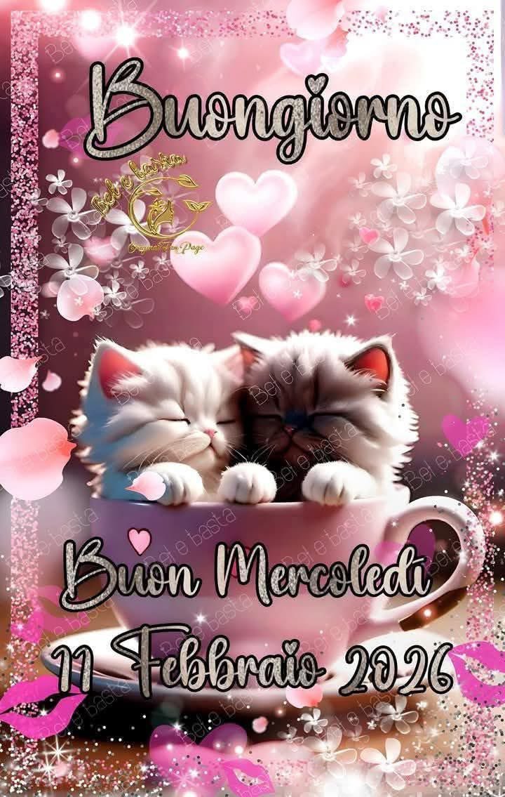 RITABIANCHi56 tweet media