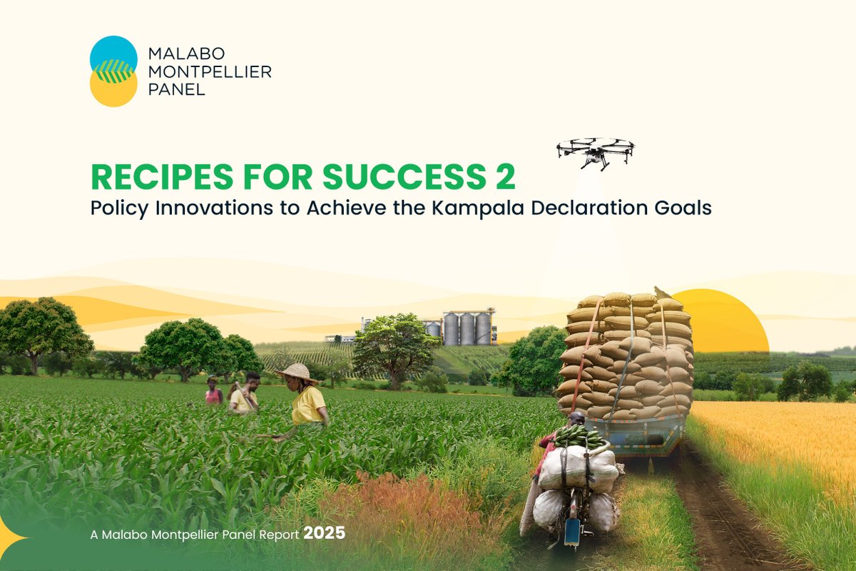 AKADEMIYA2063's tweet photo. 𝗪𝗵𝗮𝘁 𝘄𝗲’𝗿𝗲 𝗿𝗲𝗮𝗱𝗶𝗻𝗴: @MaMoPanel’s #RecipesforSuccess report aligns proven policy and institutional innovations, as well as programmatic interventions, with #KampalaDeclaration targets and their corresponding action areas, to support effective implementation. Drawing on evidence from the Panel’s country case studies (2017–2025), the report offers policymakers practical guidance for transforming agrifood systems.
More: https://t.co/IsLh4QOgXf