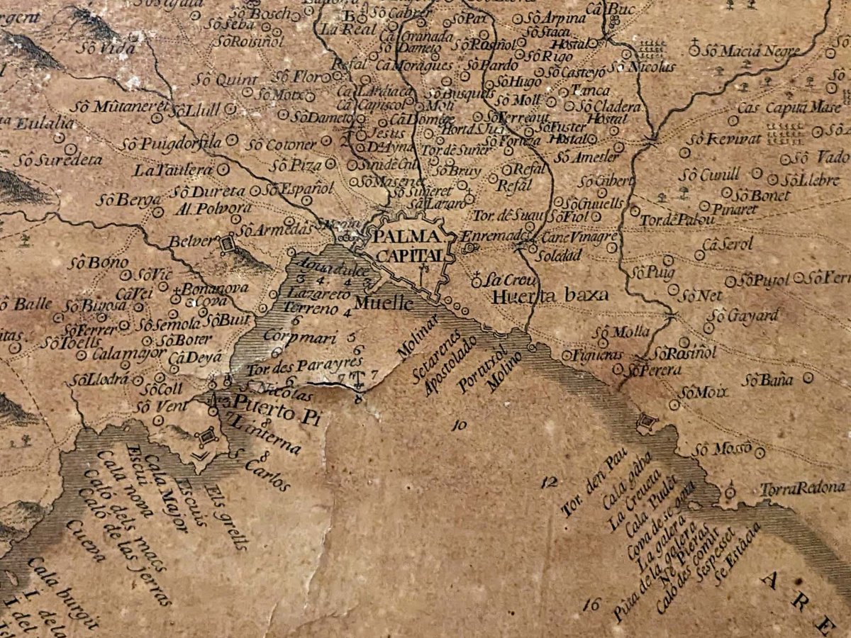 Miquel Àngel tweet media