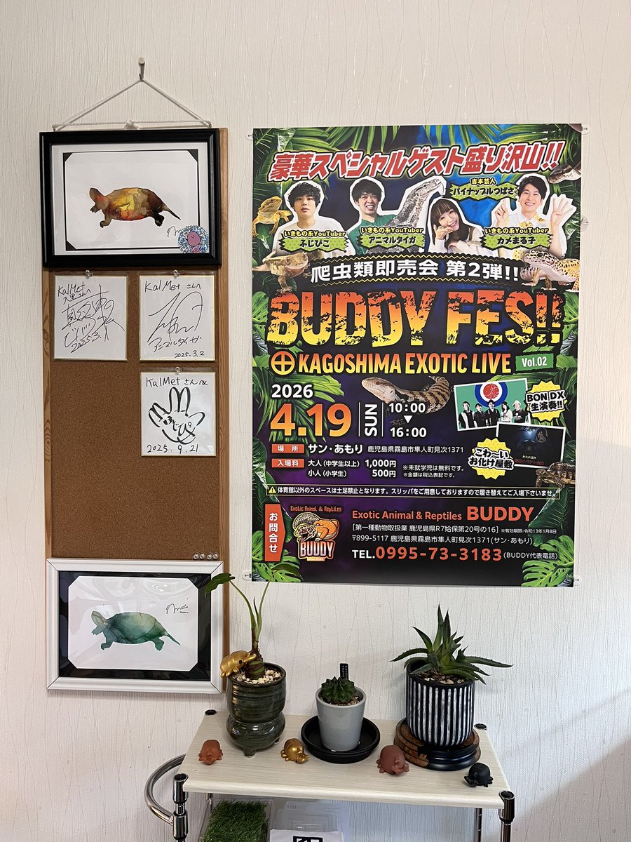 4月19日鹿児島
BUDDY FESに今年も参加します😄