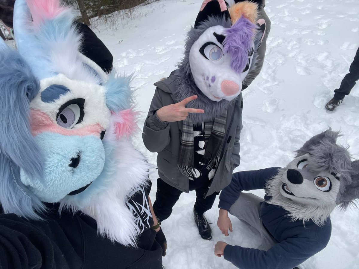 DocileWolf tweet media