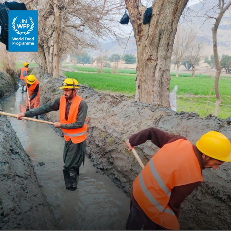 WFP_Afghanistan's tweet photo. Curious about how communities come together to rebuild the canals that bring water back to their farmland?

Take a look below 📷⬇️ to see how people in Nangarhar, #Afghanistan are restoring their local canal as part of WFP’s long‑term resilience support.
