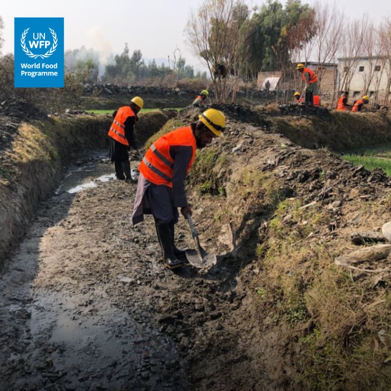 WFP_Afghanistan's tweet photo. Curious about how communities come together to rebuild the canals that bring water back to their farmland?

Take a look below 📷⬇️ to see how people in Nangarhar, #Afghanistan are restoring their local canal as part of WFP’s long‑term resilience support.