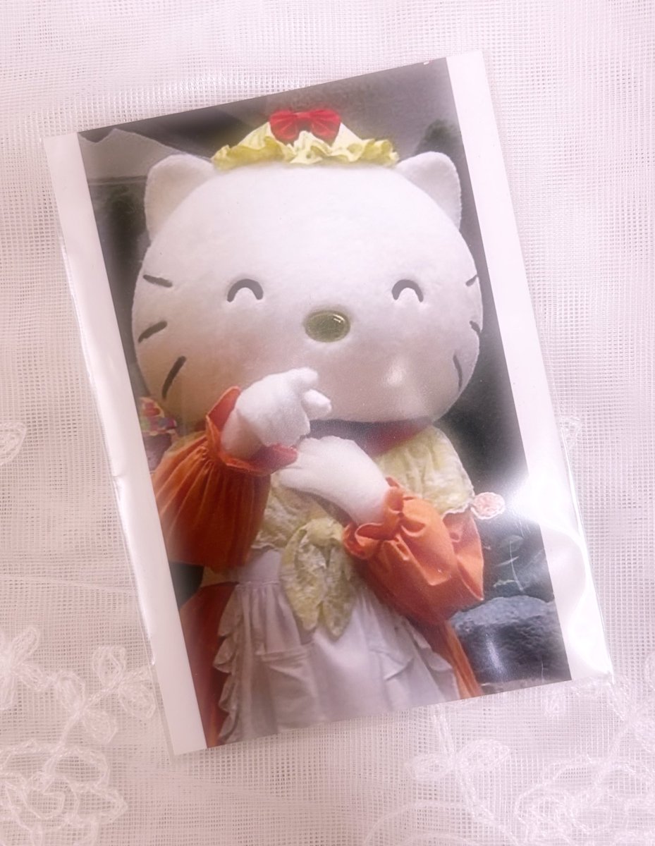 片付けしてたらめっちゃいい写真出てきた! キティーママ