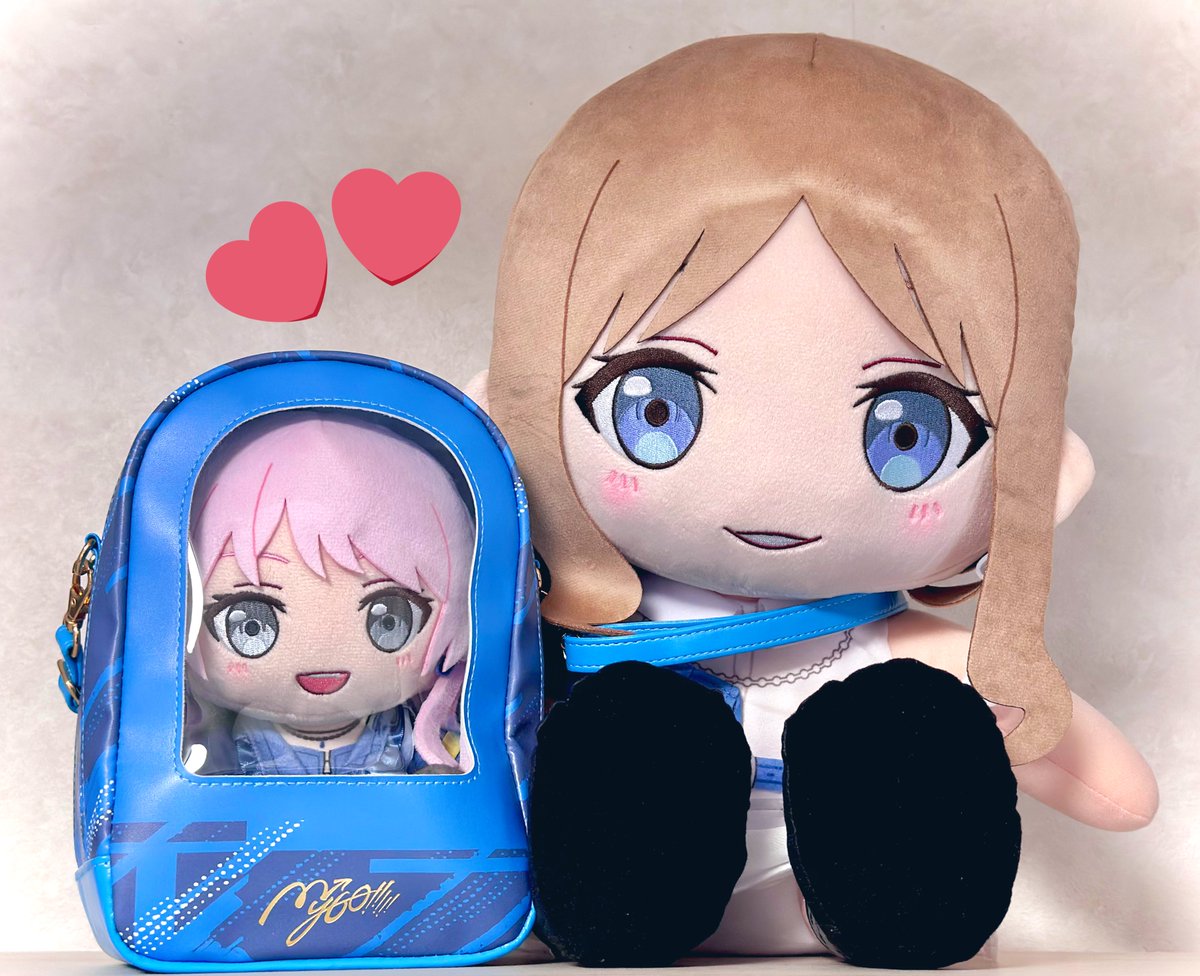 ポシェット届いたよ
これでお外見ながらおでかけできるね💕