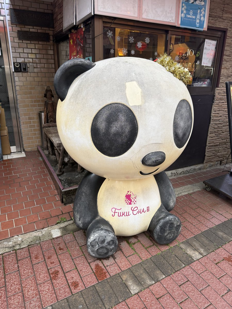 sakamoto_BiSH's tweet image. Bray meツアー来た
Cloudy出るらしい
会場まで時間あるし中華街で麻婆豆腐とチャーハン食べてる
パンダがブレアから中華街に来てた

＃Brayme
＃Cloudy