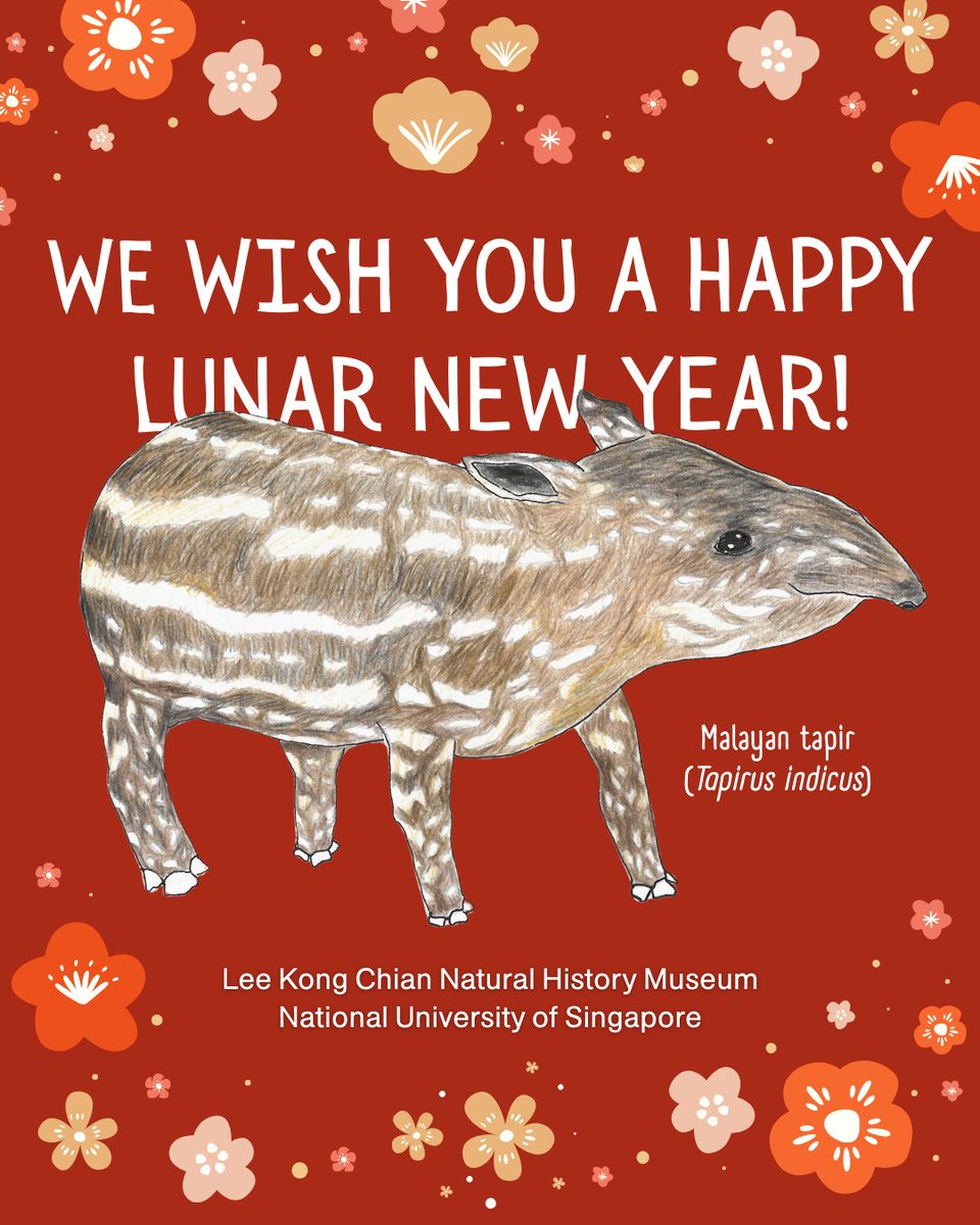 Lee Kong Chian Natural History Museum tweet media