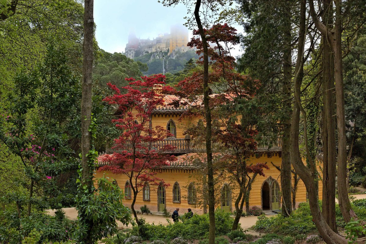 alentejo_1970's tweet image. Há lugares que não se visitam. Sentem-se.
Em #Sintra, os caminhos parecem conduzir sempre a um encontro com a natureza, com a história, com aquilo que ainda acreditamos ser possível.
Entre neblinas, palácios, as vidas cruzam-se.
Como se o sonho soubesse o caminho antes de nós.
