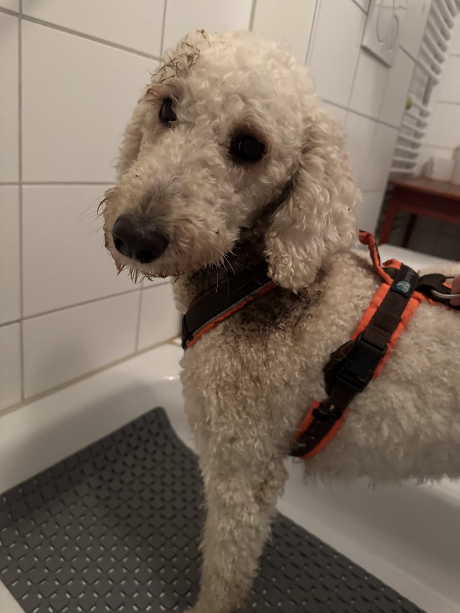 Natürlich passiert so was nur dann, wenn man sich dringend auf einen Termin vorbereiten muss.