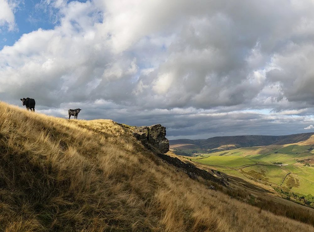 Andrew Brooks tweet media