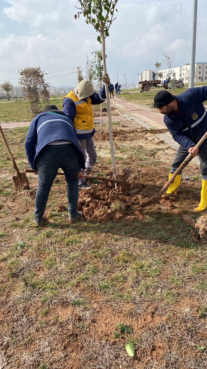 📍Tıbbi Aromatik Parkı ❤️

Park ve Bahçeler Dairesi  Başkanlığına bağlı ekiplerimiz;👷🚧👷

 Ağaç dikimi çalışmalarını hız kesmeden sürdürmektedir.🌲

#YeşilŞehirŞanlıurfa 

<a href="/sanliurfabld/">Şanlıurfa Büyükşehir 🇹🇷</a> 
<a href="/MithatCanKutluc/">Mithat Can KUTLUCA</a> 
<a href="/halilaldeniz_/">Halil Aldeniz</a> 
<a href="/Tuba_Yaygin/">Tuba Yaygın</a> 
<a href="/sukrukaracads/">şükrü karaca</a> 
<a href="/musadokuz_/">Musa dokuz</a>