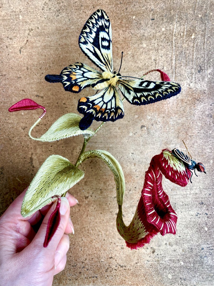 立体刺繍のウツボカズラと揚羽蝶の組み立てをしました🦋 明日からは