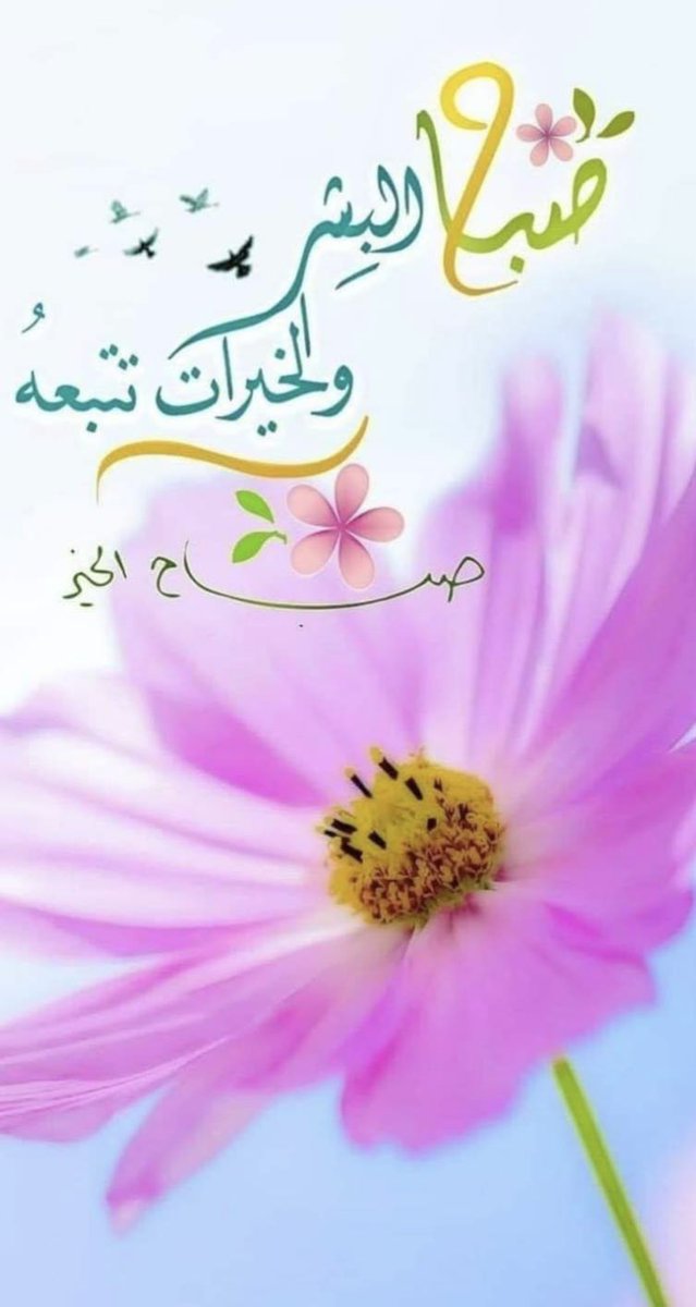 ₐᵦₕₕ 🩷 tweet media