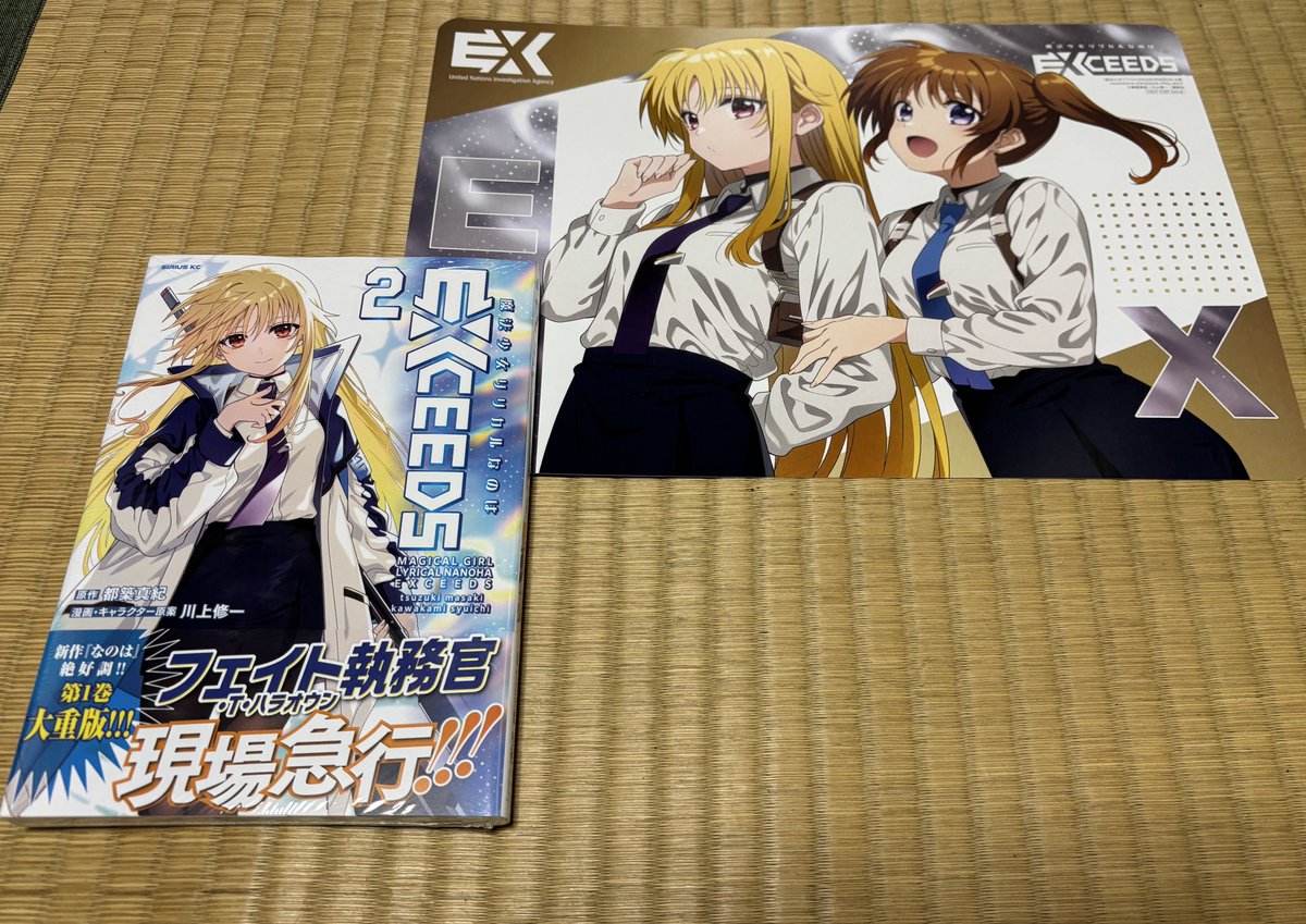 魔法少女リリカルなのはさんEXCEEDS 2巻をメイトで買ってきた