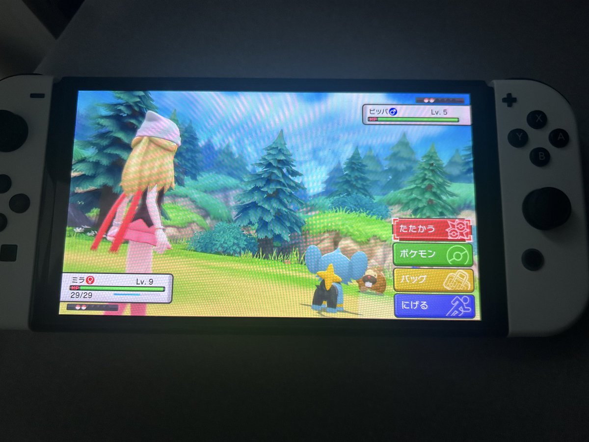 8週目やけどまだ味する