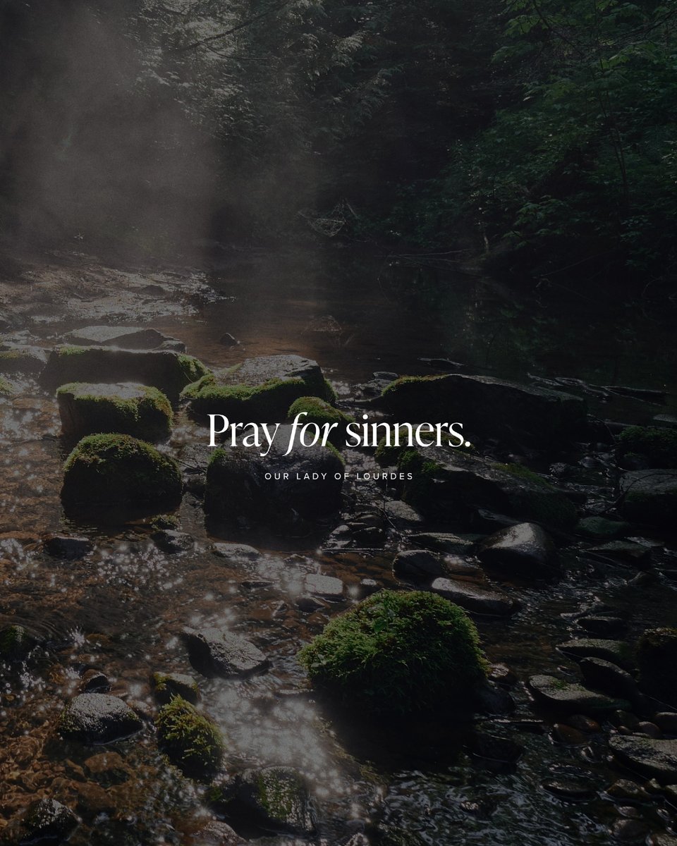 Bishop Robert Barron tweet media