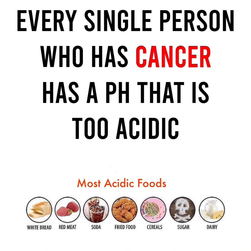 OrganicLiveFood's tweet image. 