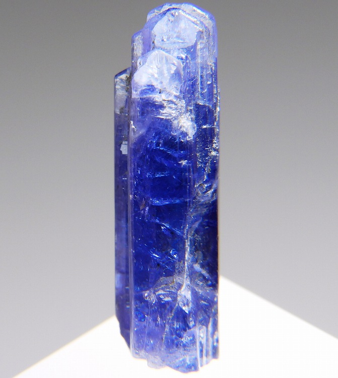 本日の新着標本】 本日の新着を更新しました。 本日はストロベリー