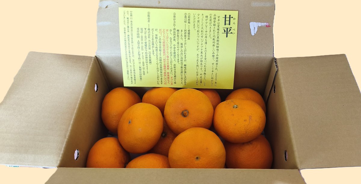 当選報告】 のま果樹園( @nomakajuen )さんとワサビさん( @wasabi__inc