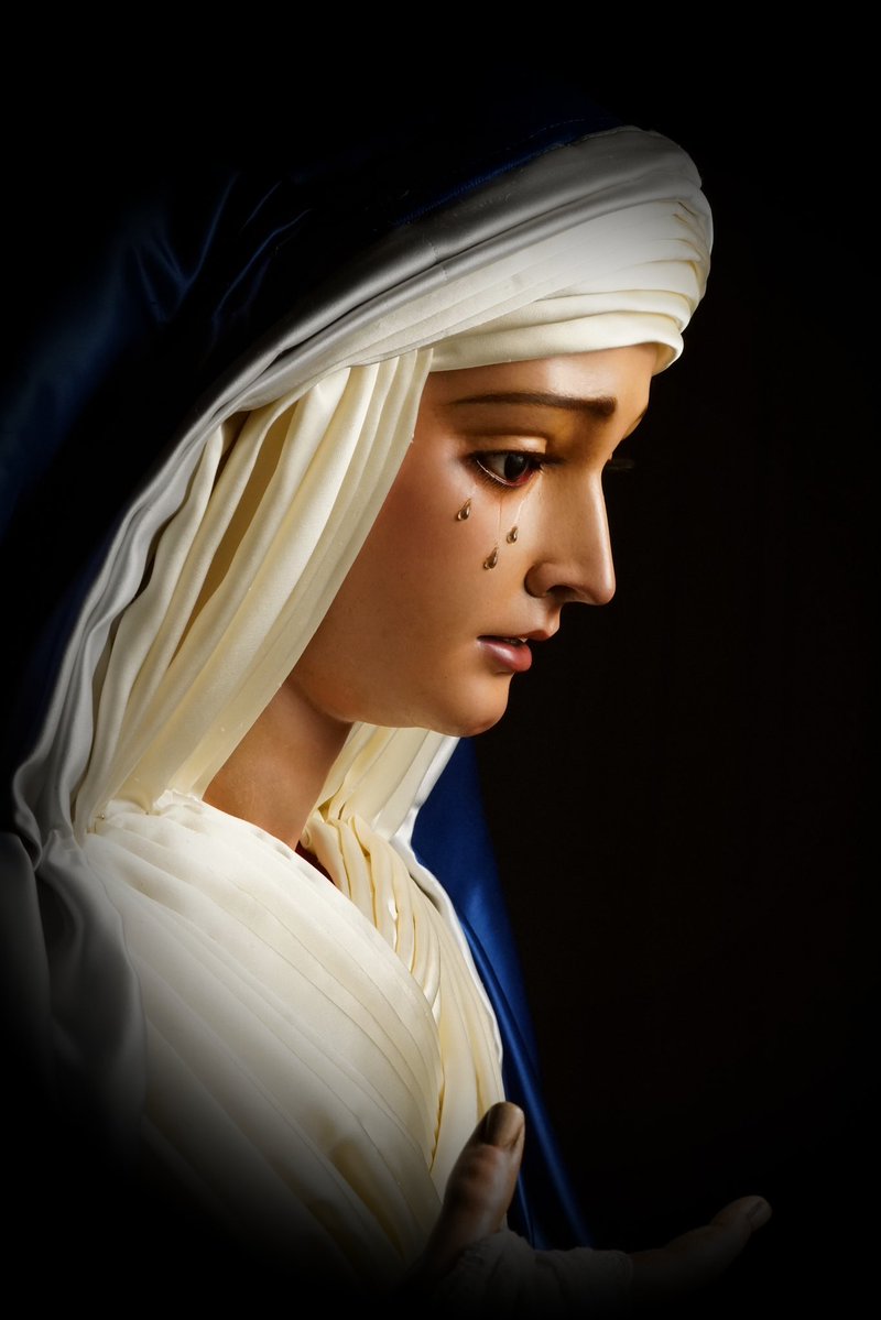 VESTIMENTA | MARÍA SANTÍSIMA DE GUADALUPE.

María Santísima de Guadalupe amanece en el día de hoy ataviada de hebrea, con motivo del inicio de la Cuaresma.

Vestidor Antonio Sanabria 

📸 Fernando Villapol

#HdadLasAguas