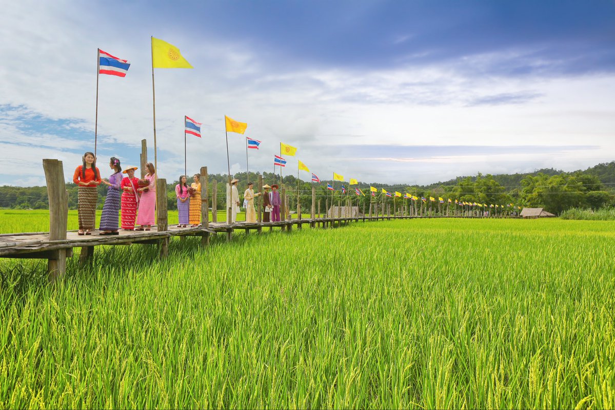 🌿 Ontdek de prachtige route van Chiang Mai naar Mae Hong Son! 

Ver weg van de Thaise stranden ligt het ruige, groene noorden met bergen, watervallen, rijstvelden, authentieke dorpen en kleurrijke tempels. De route van Chiang Mai naar Mae Hong Son is één van de mooiste roadtrips