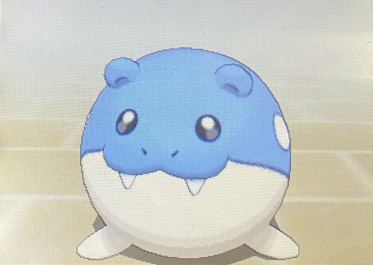 いつも一緒のタマザラシ、おまんじゅう
たくさん友達と遊んだ時も、様々なライバルと競い合った時も一緒だった