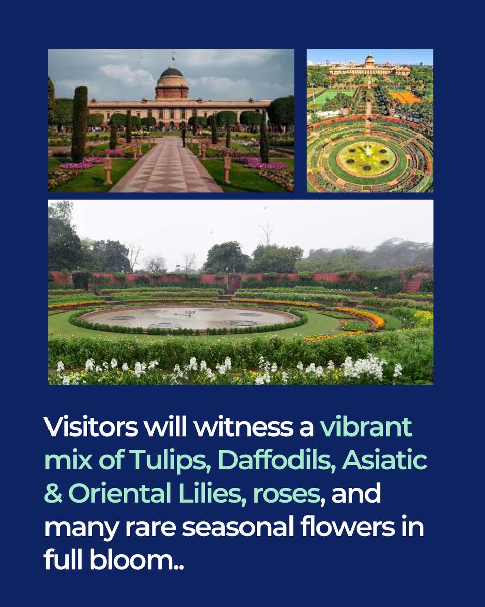 Amrit Udyan, Rashtrapati Bhavan is open till 31 March 2026 from 10:00 AM to 6:00 PM (last entry at 5:00 PM, closed on Mondays).

Schools can plan a 2-hour guided visit through Gate No. 35 with QR-code entry, where students can explore vibrant winter blooms, Bal Vatika, Bonsai