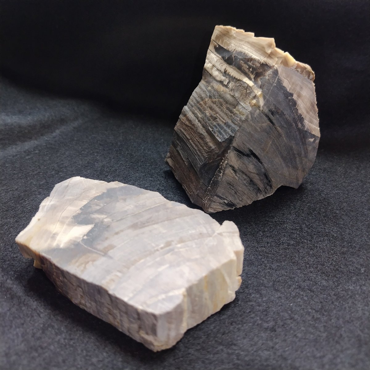 蛋白石化した珪化木/Opalized Wood】 時代：新生代第三紀 産地：岩手県