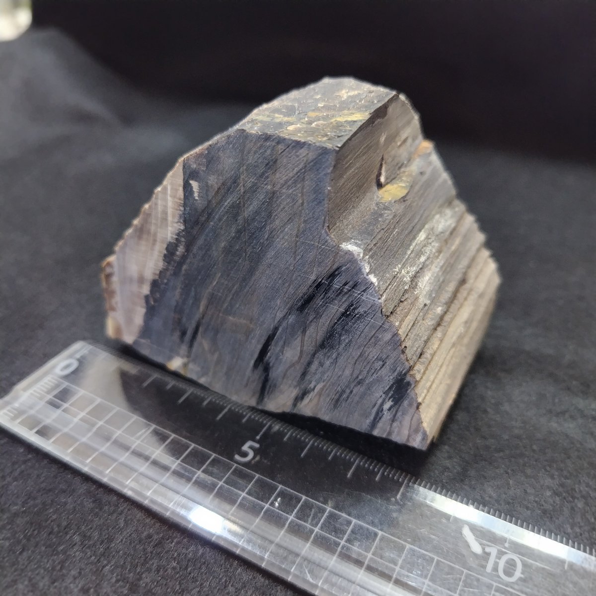 蛋白石化した珪化木/Opalized Wood】 時代：新生代第三紀 産地：岩手県