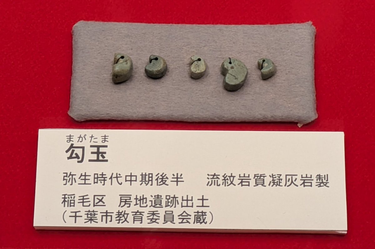 勾玉は「動物の牙を模した」獣牙説が有力な説とされていますが… 分厚く