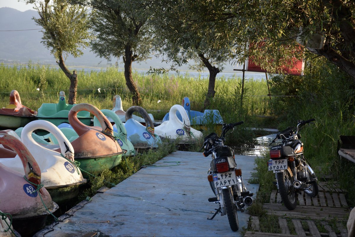 Alcatela tweet media