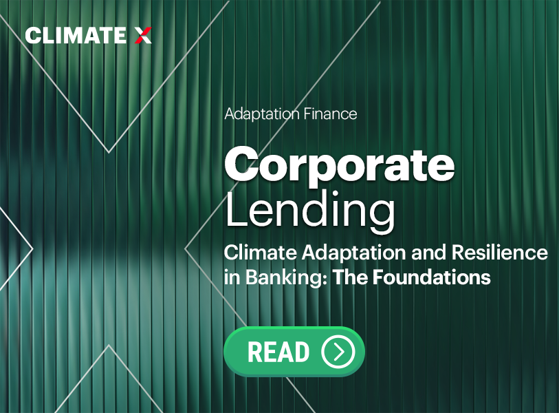 Climate X tweet media