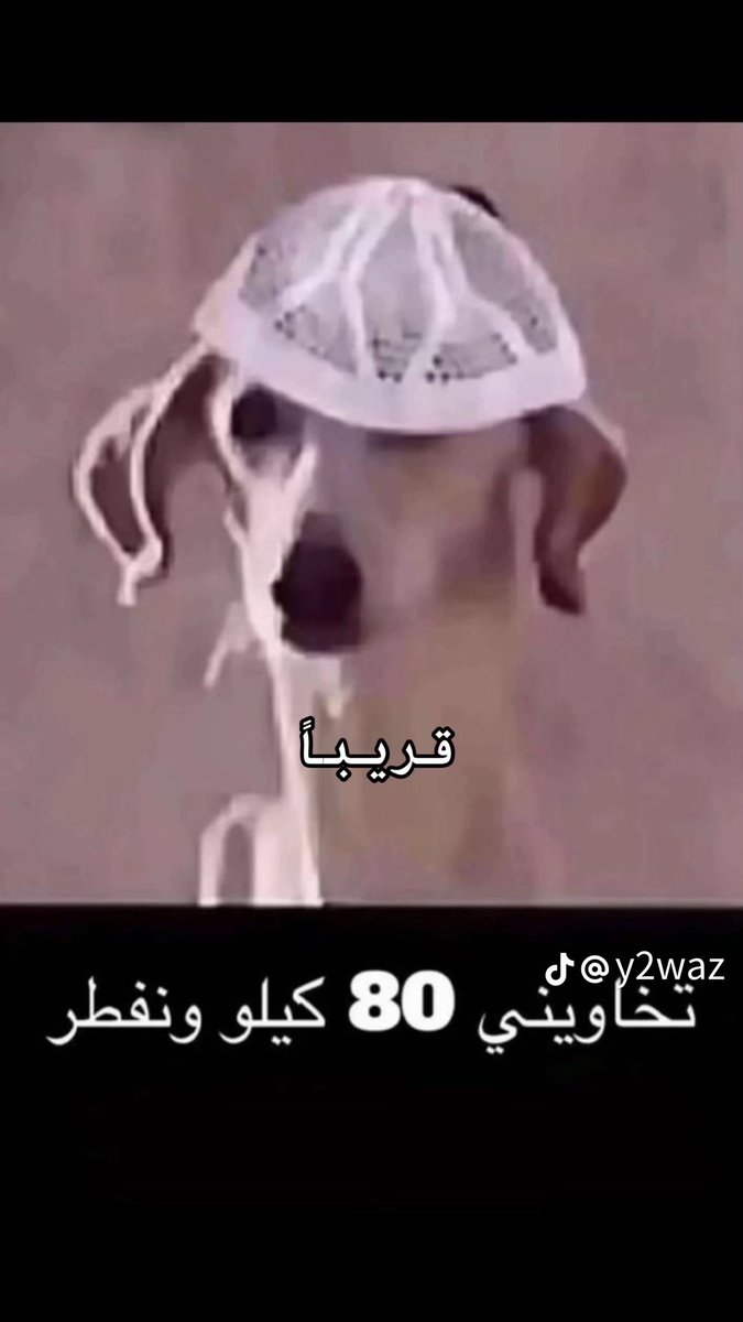 ملاعييين في بالي هههههههههههههههههههههههههههههههههههههههههههههههههههههه🤣