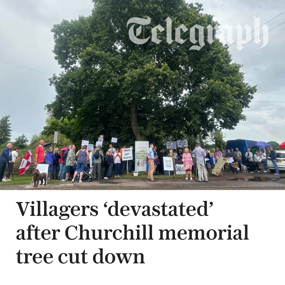 The Telegraph tweet media