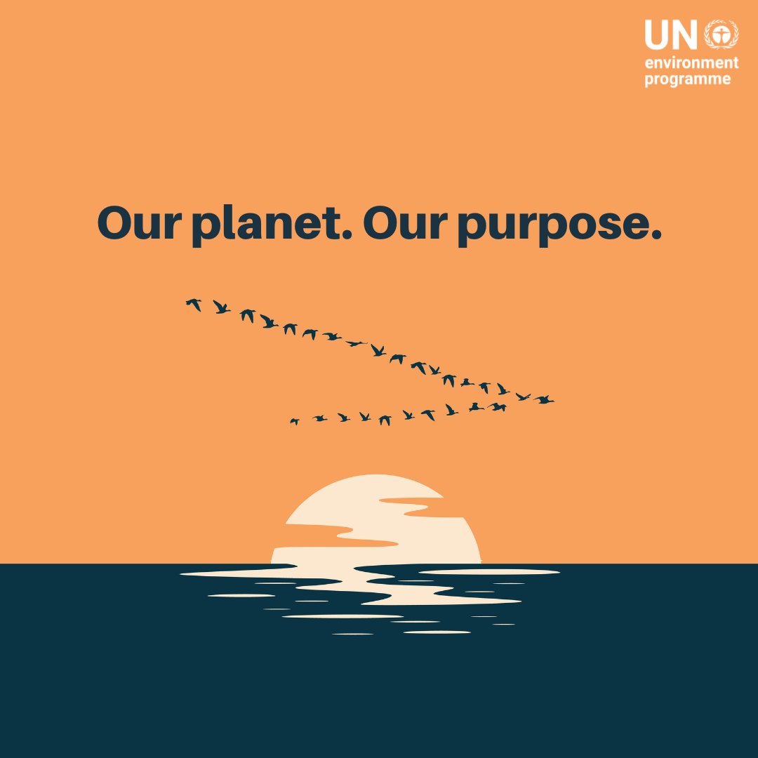 UN Environment Programme tweet media