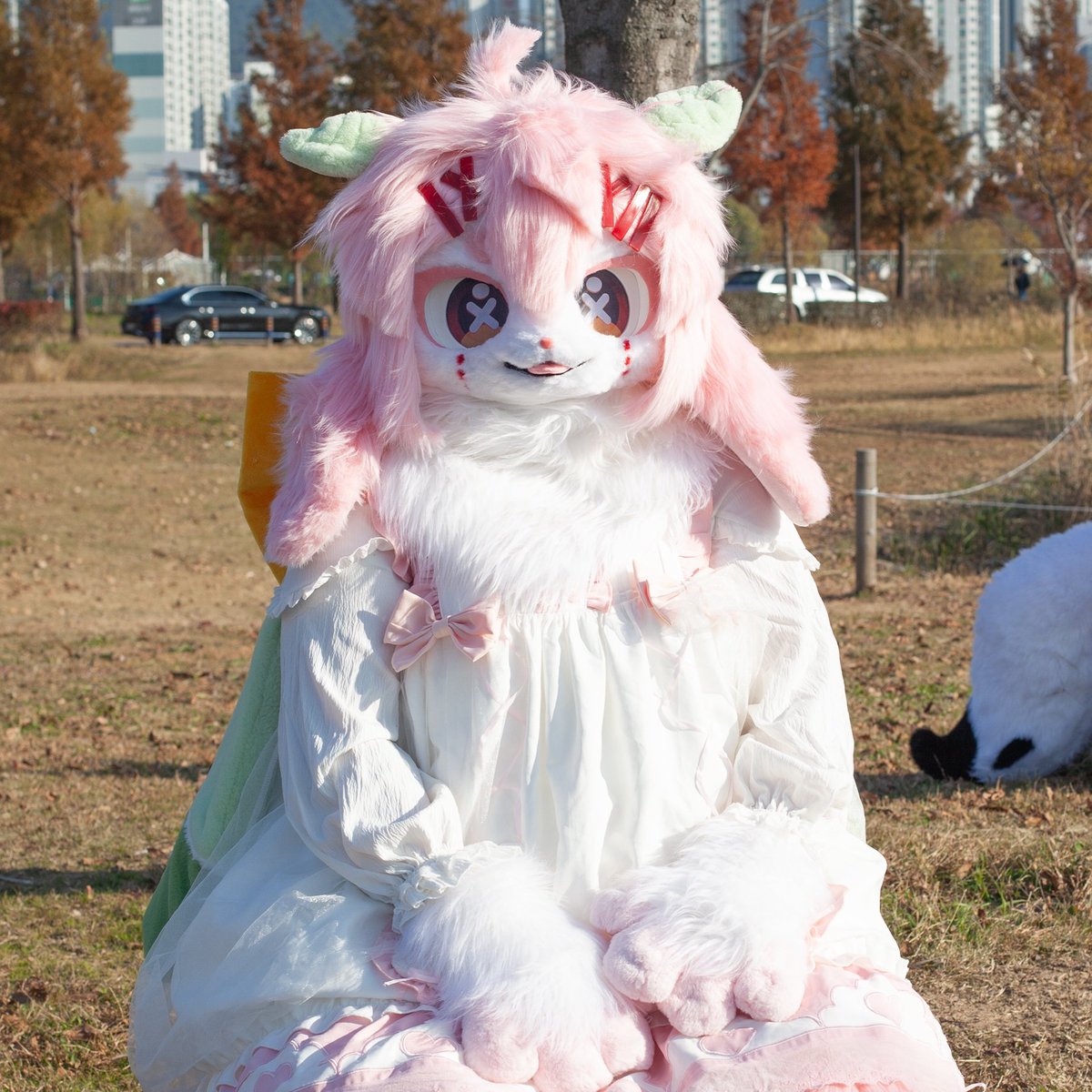 퍼조가 얼마 남지 않았어요🔥 리메이크 홍쨩으로 만나요💕
제 친구 달래도 리메이크 헤드로 찾아옵니다❗️❗️