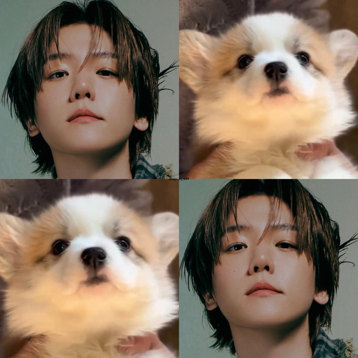 🍀사랑하는 백현시🤍🍀