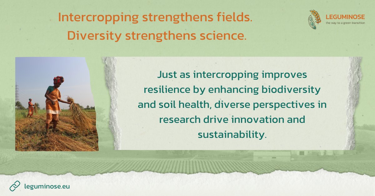 LEGUMINOSE Project tweet media