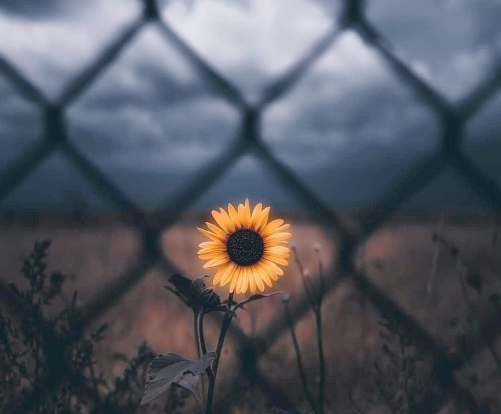 " Yok sayıldığın yerde,
Var olmaya çalışmışsın."