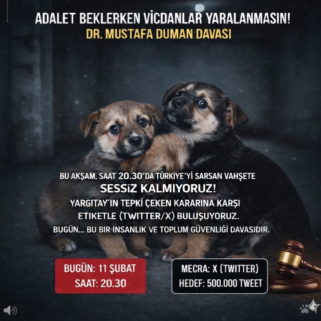 ADALET BEKLERKEN VİCDANLAR YARALANMASIN! 🚨

Ankara’da gerçekleşen ve tüm Türkiye’yi sarsan 28 yavru köpeğin katledilmesi davasında kritik bir eşikteyiz. 

Mahkemenin verdiği hapis cezası kararı bozuldu. Yeniden yargılama süreci, bu vahşetin cezasız kalma riskini taşıyor.

✅